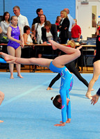 South of England Inter Regional Championships 2008